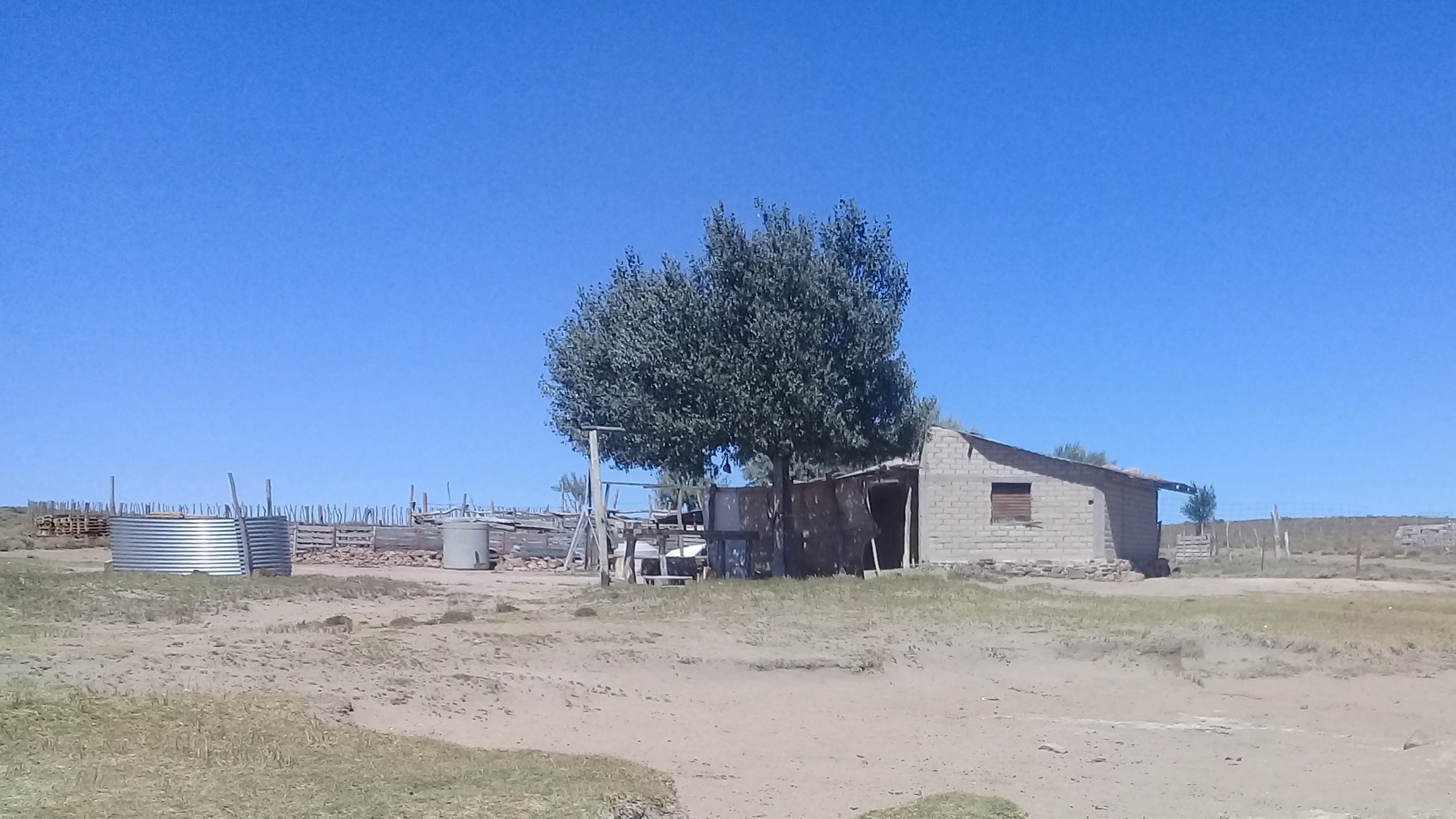 Imagen 1