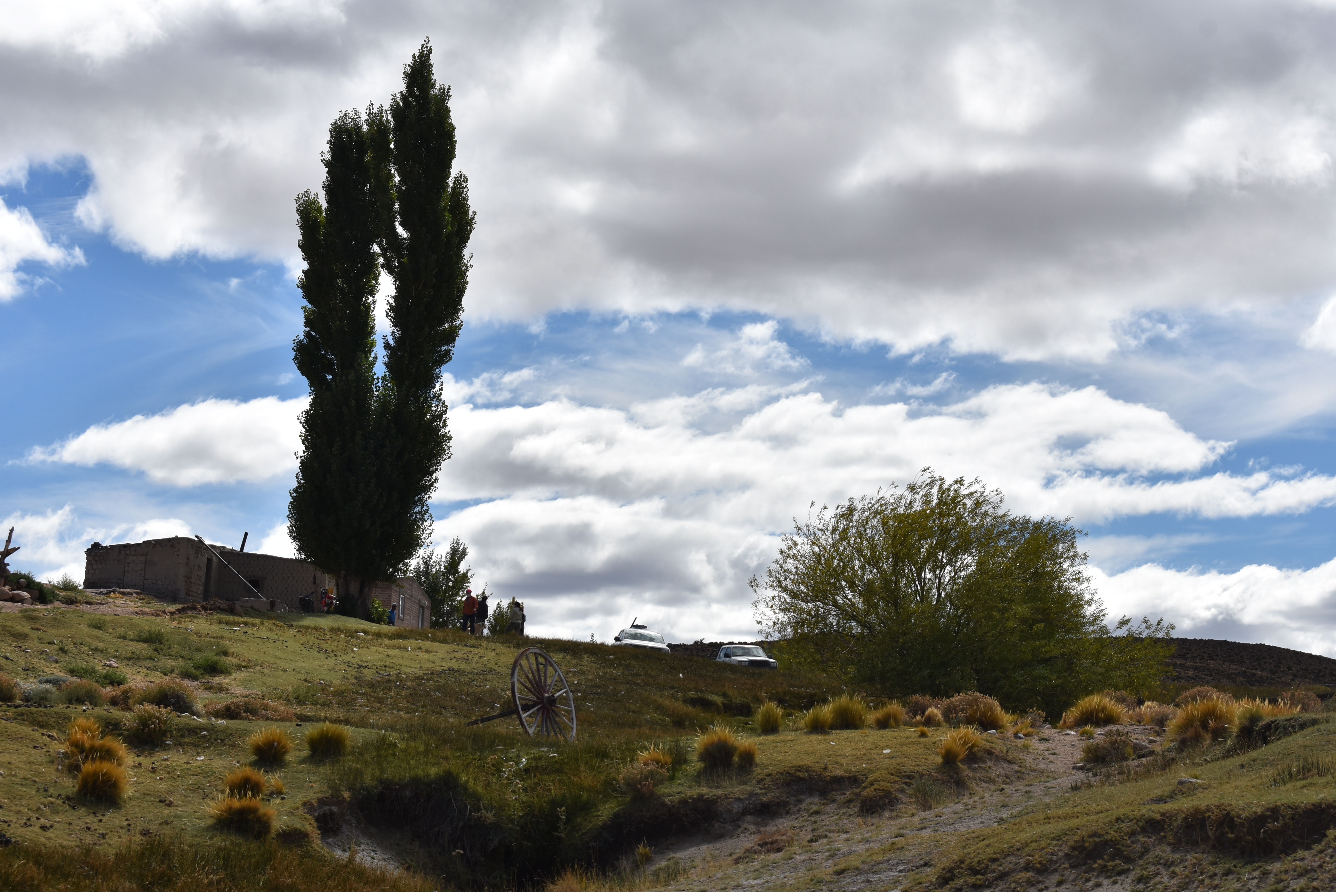 Imagen 1
